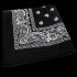 APR001: Black Paisley