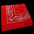 APR003: Red Paisley