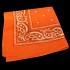 APR005: Orange Paisley