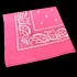 APR007: - Pink Paisley