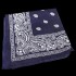 APR008: Blue Paisley